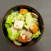 Iceberg and Pink Radish salad with Anchovy cream and croutons|Shankey Jariwalaさん