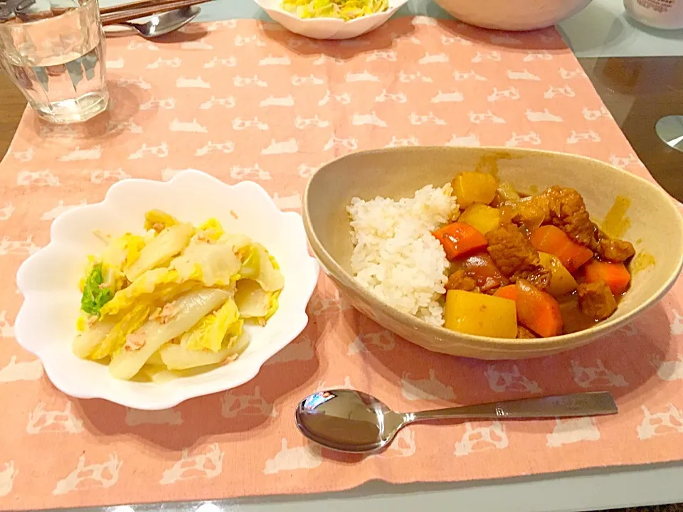 Snapdishの料理写真:カレー|ふじさん