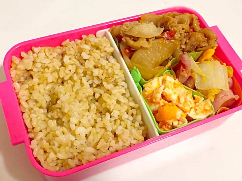 2/24のお弁当|しおり。さん