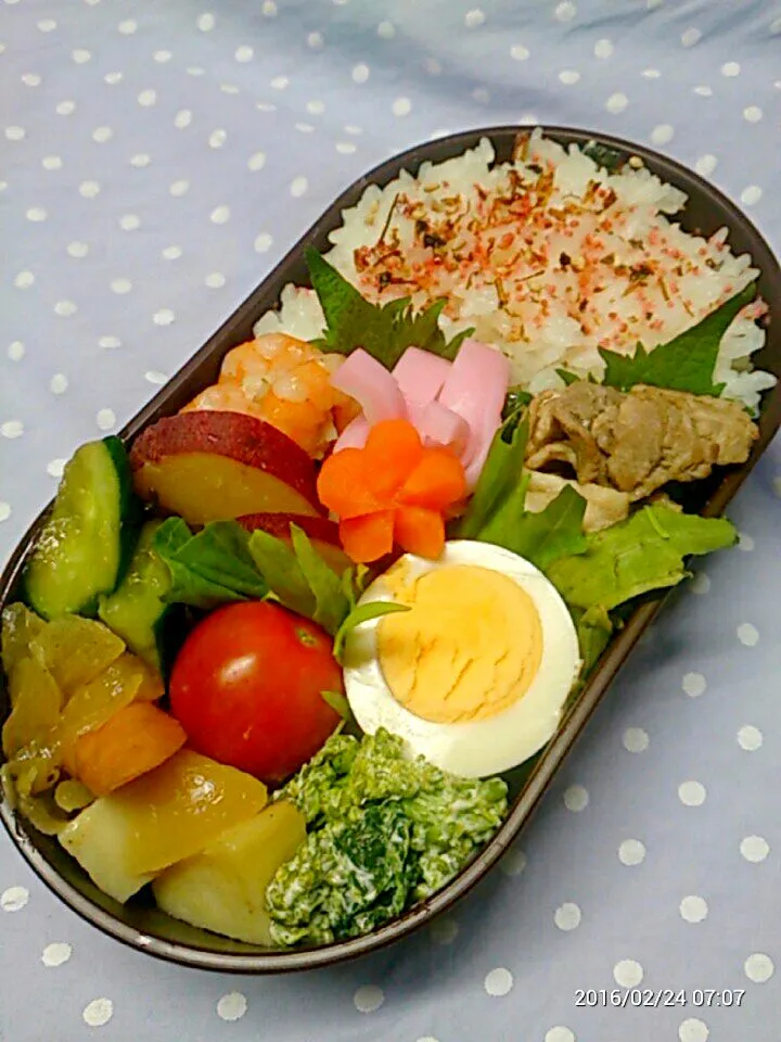 2016.2.24 旦那弁

 #お弁当 #お昼ご飯 #旦那 #パパ #作り置き #詰めるだけ|honeyさん