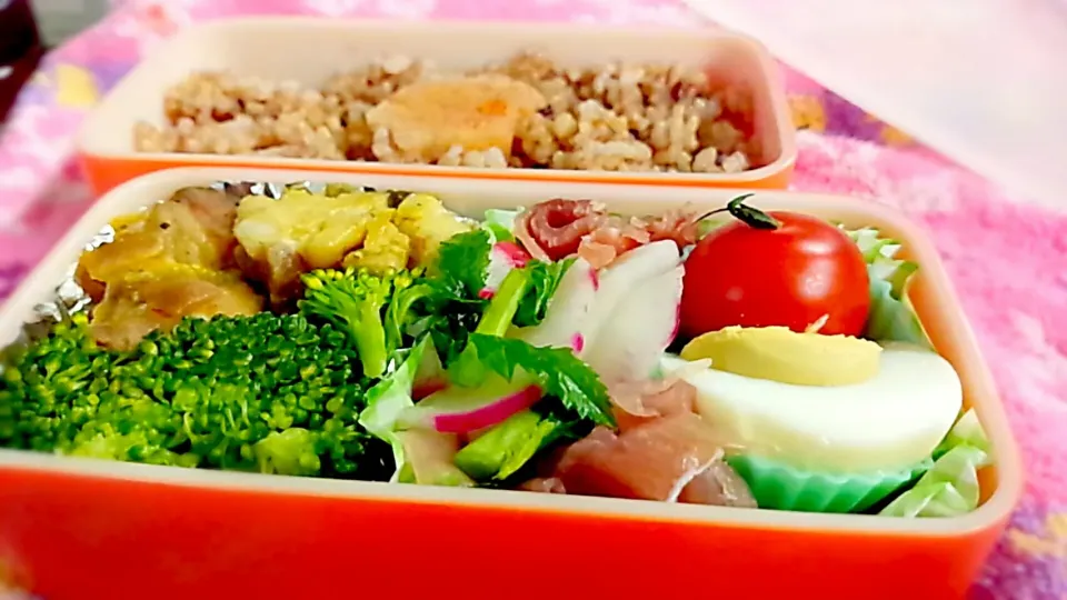 ⭐2.24⭐今日のお弁当|かおりんさん