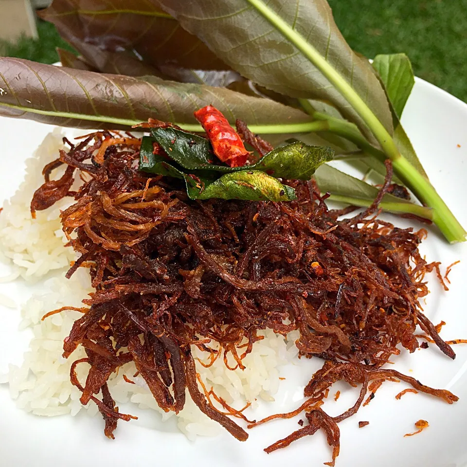 Crispy Chilli Beef by Hana Zapp (เนื้อแซบ )|Hana Zappさん