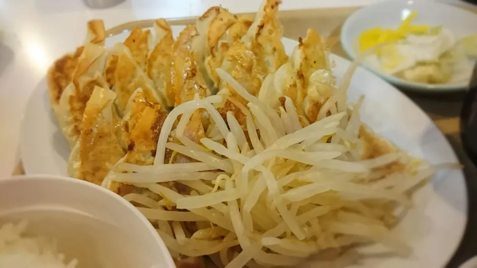 餃子定食|ボンゴさん