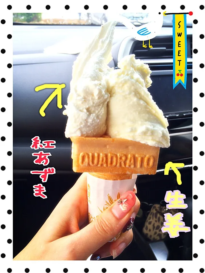 ジェラート🍦ダブルで✌️|みきぴょん♪さん