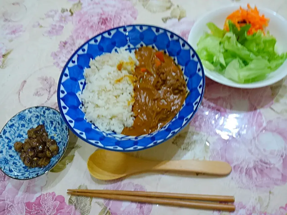 ビーフストロガノフ😆ゴボウの甘辛炒め😁人参のラぺとグリーンサラダ|たえさん