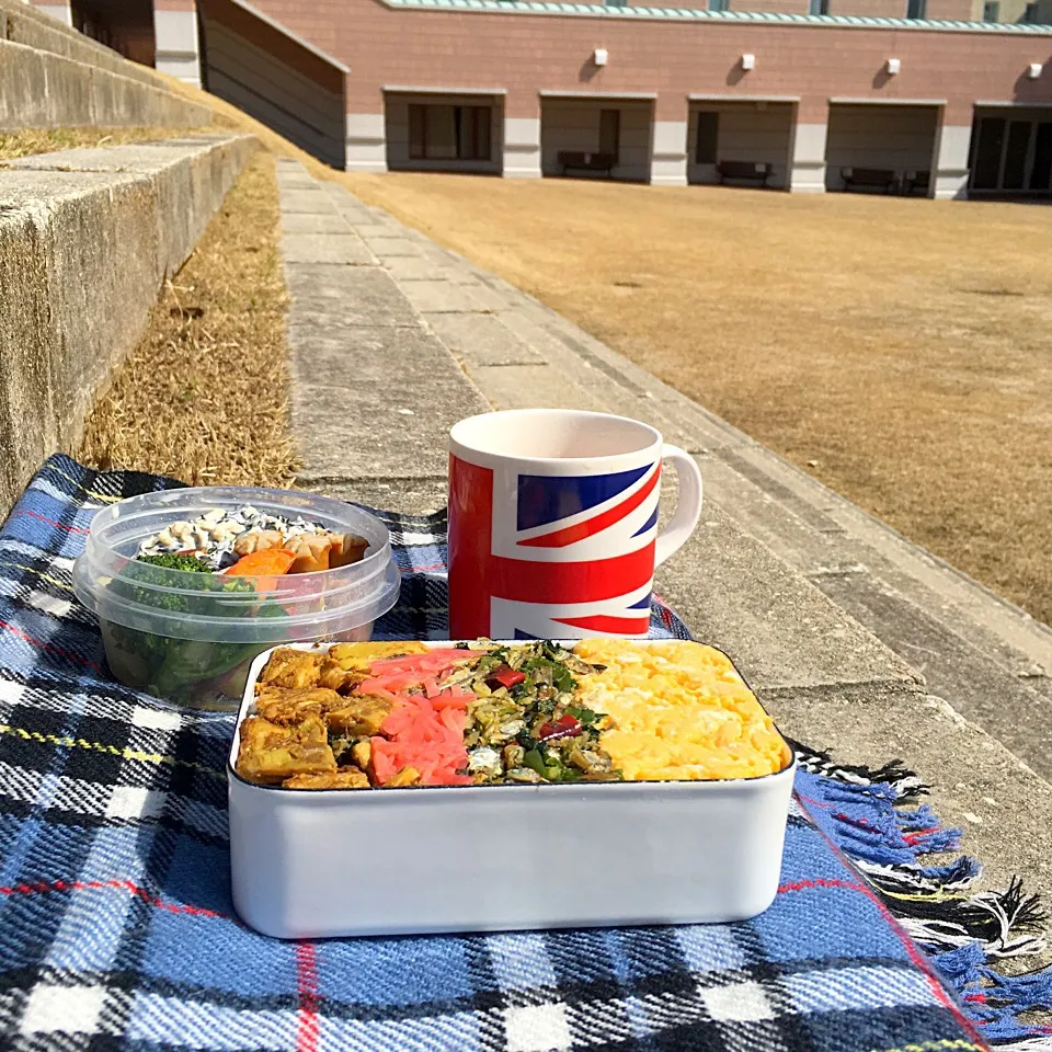 ピクニック・ランチ♬ (▰˘◡˘▰)☝︎|Yoshinobu Nakagawaさん