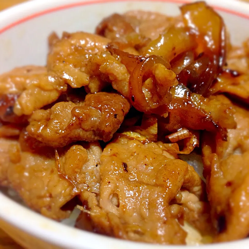 豚🐽丼|キキさん