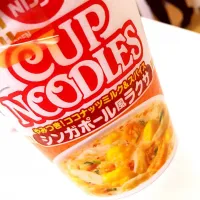 Snapdishの料理写真:カップ麺|yas’sさん