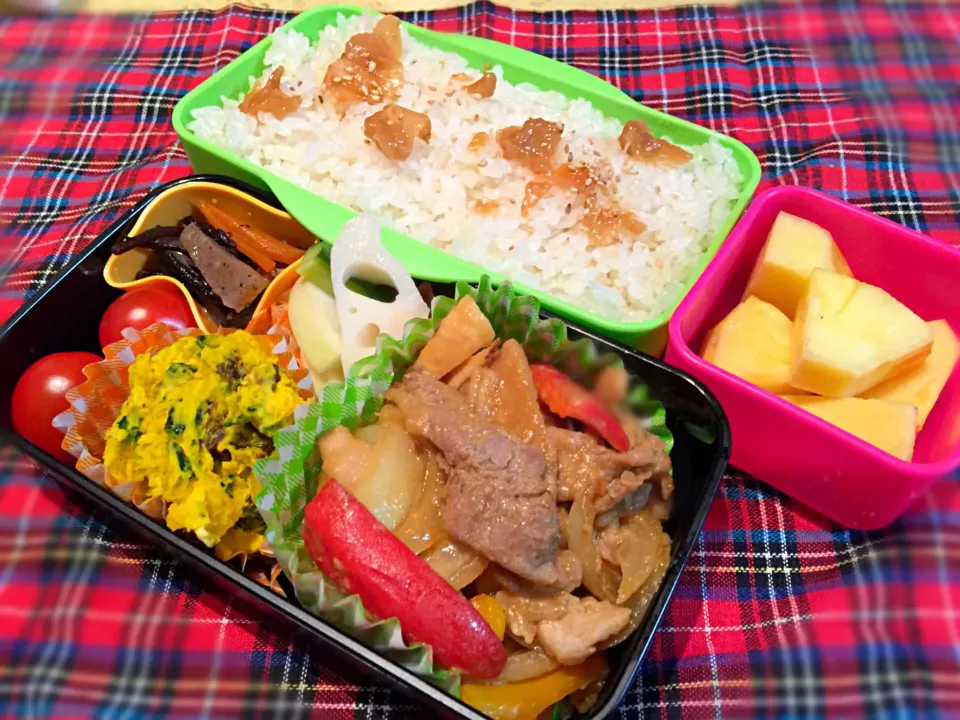 Snapdishの料理写真:男子高校生お弁当⭐︎入試編2|RAYさん