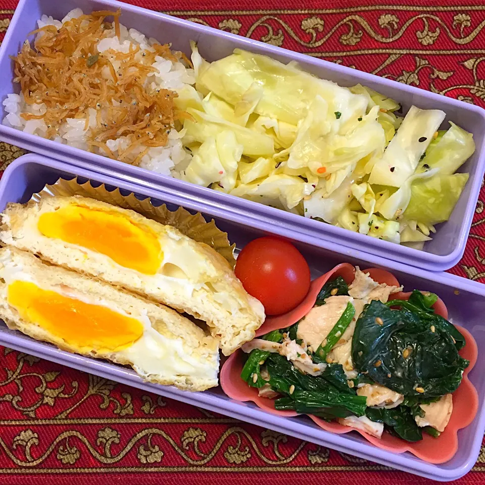 Snapdishの料理写真:鶏ささみとほうれん草の胡麻和えと卵の袋煮弁当|もえさん