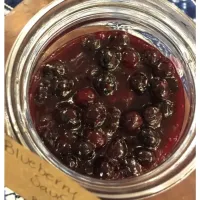 Exploding Blueberry Sauce – Recipe Nomad|Recipe Nomadさん