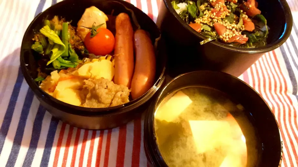 お弁当。肉じゃがとほうれん草おひたしと鶏の塩胡椒焼きとウインナーとお味噌汁。|エリカさん