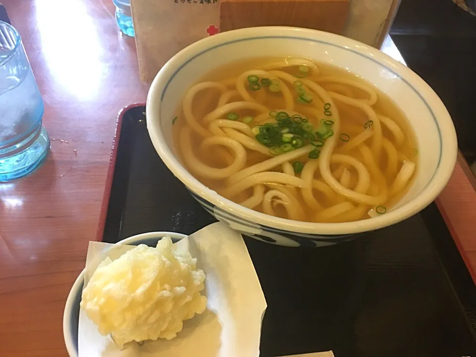 Snapdishの料理写真:かけうどん 半熟卵天|midnさん