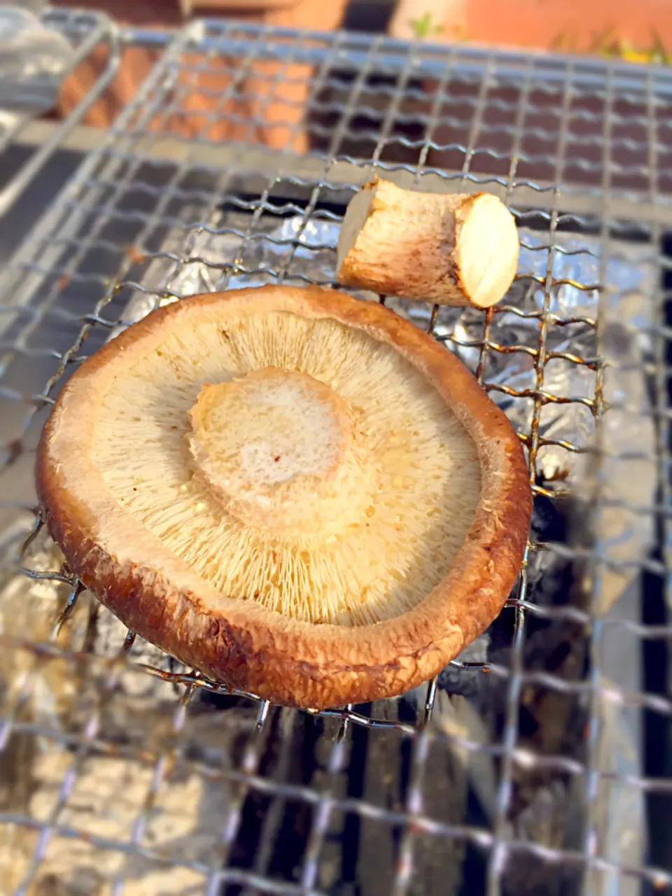 焼き椎茸|玉川 敦さん