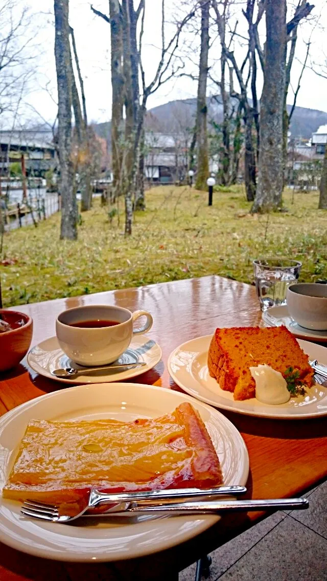 アップルパイ、シフォンケーキ@由布院 ティールームニコル|めぐまげさん