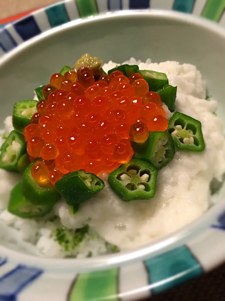 Snapdishの料理写真:今まで作った丼ぶりの中で1番のお気に入り♪いくらオクラとろろ丼❤︎|るかるんさん