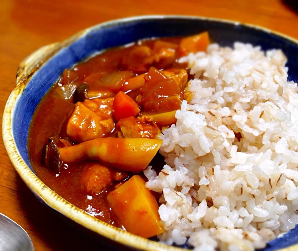 晩ごはん  母のトマトカレー|砂雪さん