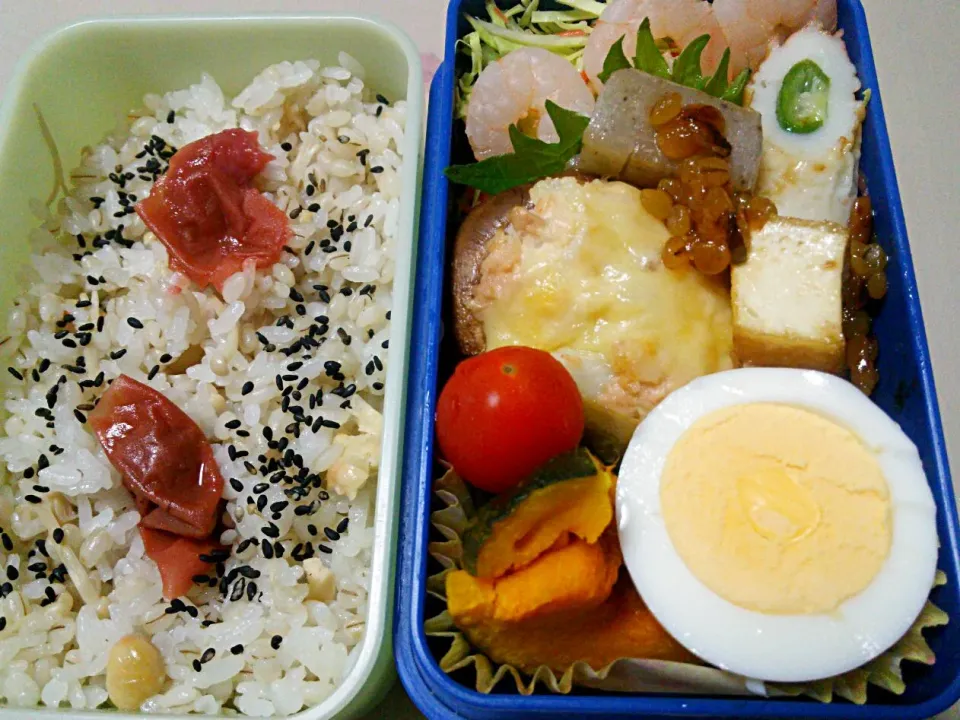 今日のお弁当 #サラメシ #Lunchbox #オベントウ #ランチ #仕事弁 #低糖質|ABCDE.SIGN5さん