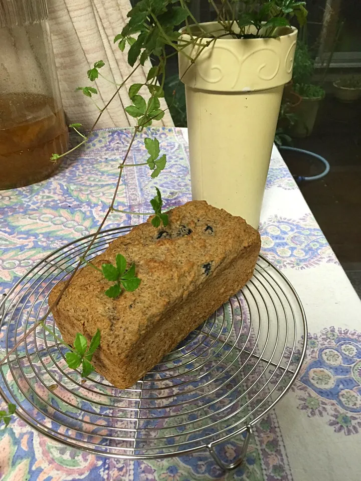 三年番茶と黒豆のパウンドケーキ|中川 恵子さん