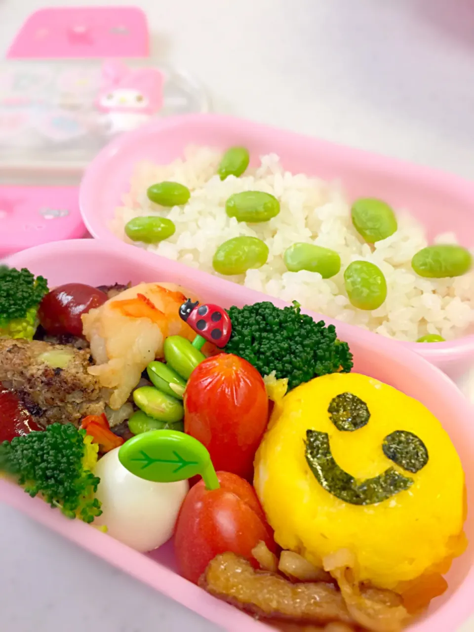 年2回のお弁当（小学生）|えんみさん