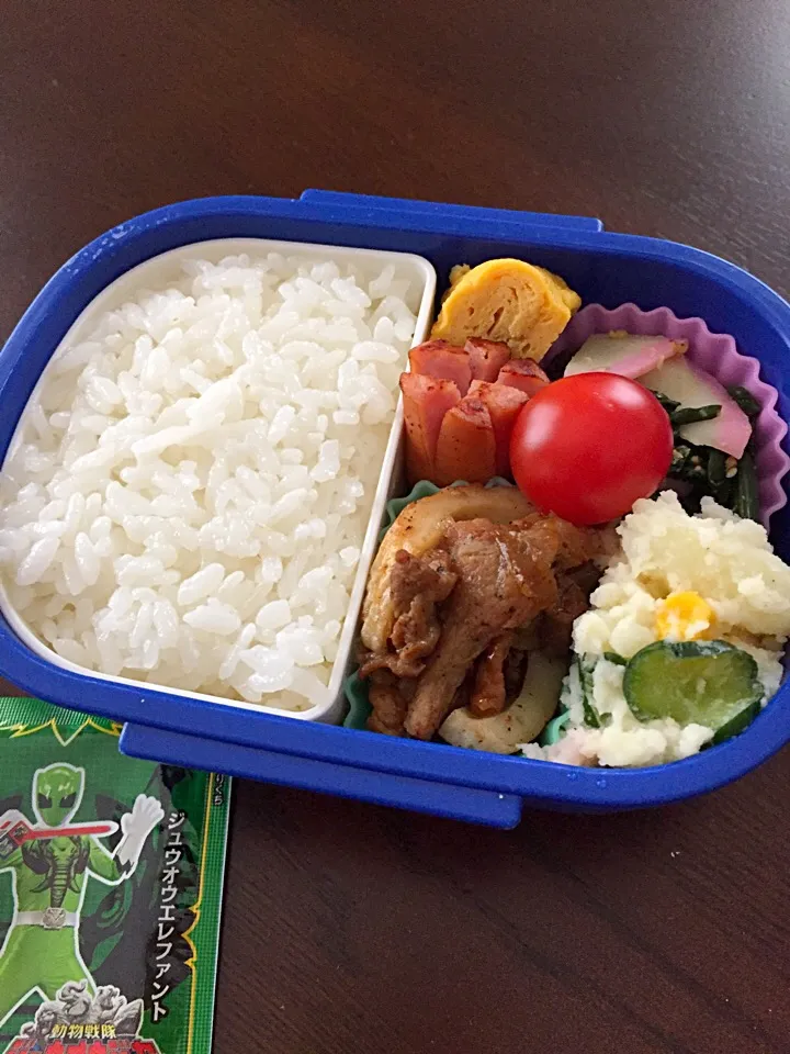 Snapdishの料理写真:豚肉の生姜焼きとポテサラ弁当|kiicoさん