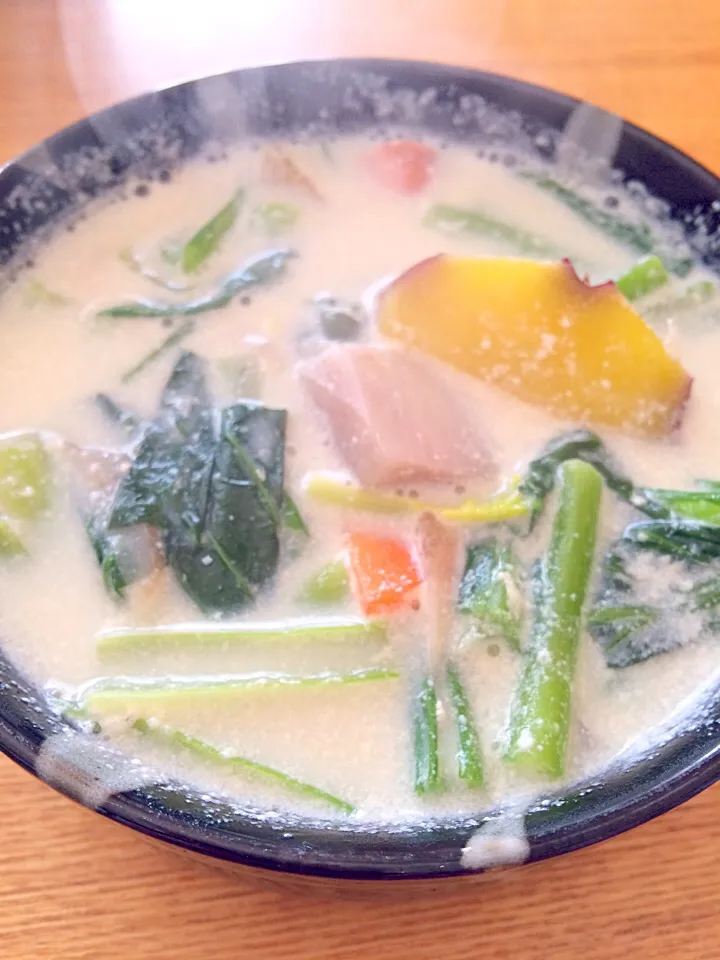 Snapdishの料理写真:野菜モリモリ♪豆乳野菜スープ|pigmegさん