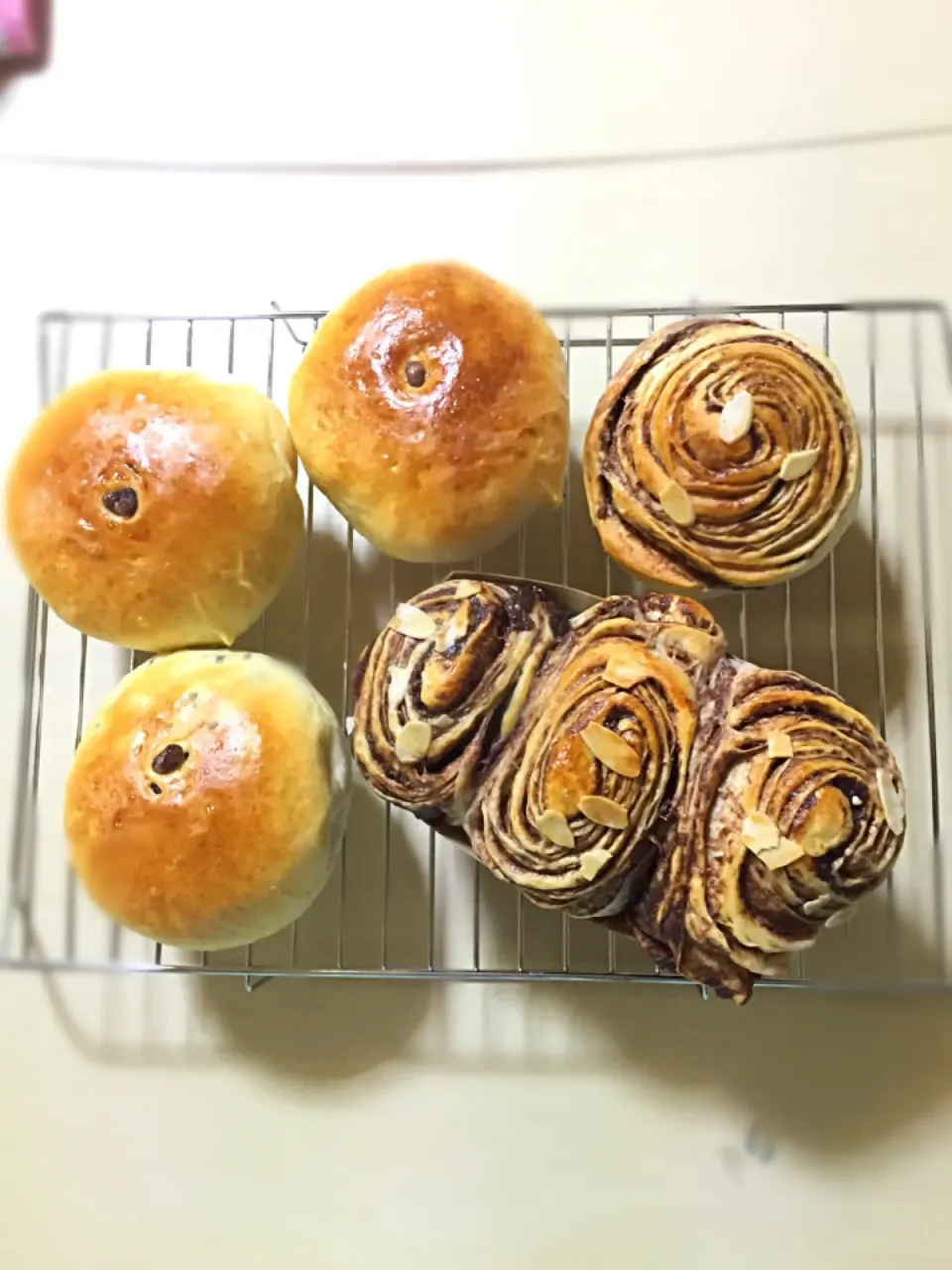 豆パンとチョコロールパン|ぶーさんさん