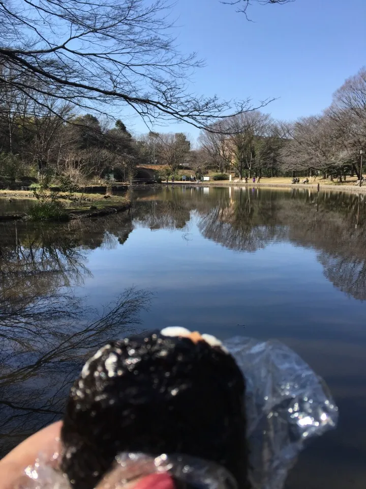 鮭おにぎりでPicnic lunch|akemi🐝さん