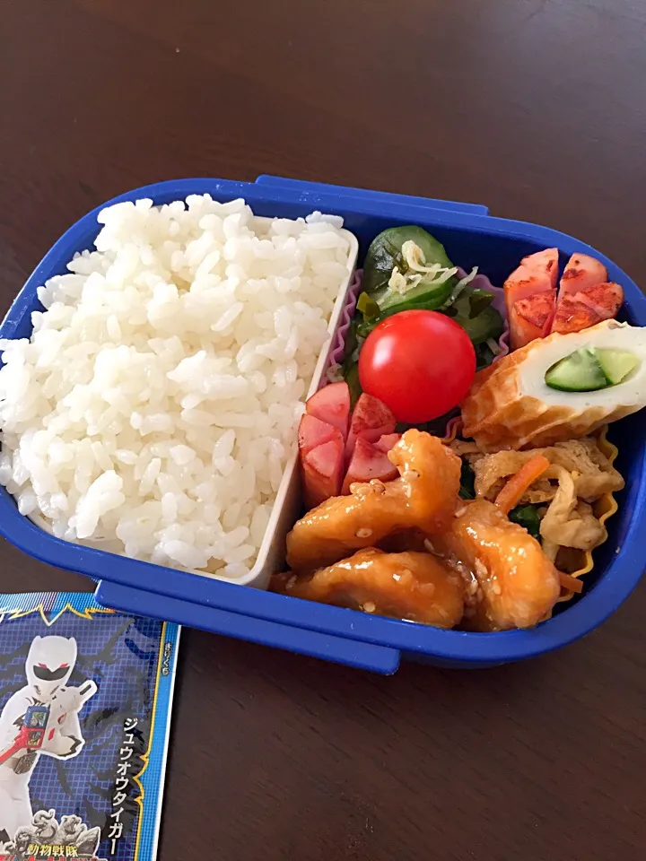 Snapdishの料理写真:鶏肉の甘辛炒め弁当|kiicoさん