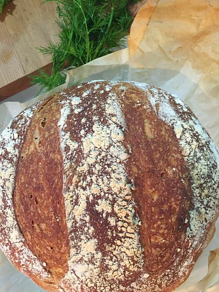 Hlib na pywi🇵🇱 No knead Beer Bread🇵🇱|aястасияさん