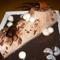 Birthday cake
“ブッシュ ド…カブトムシ”