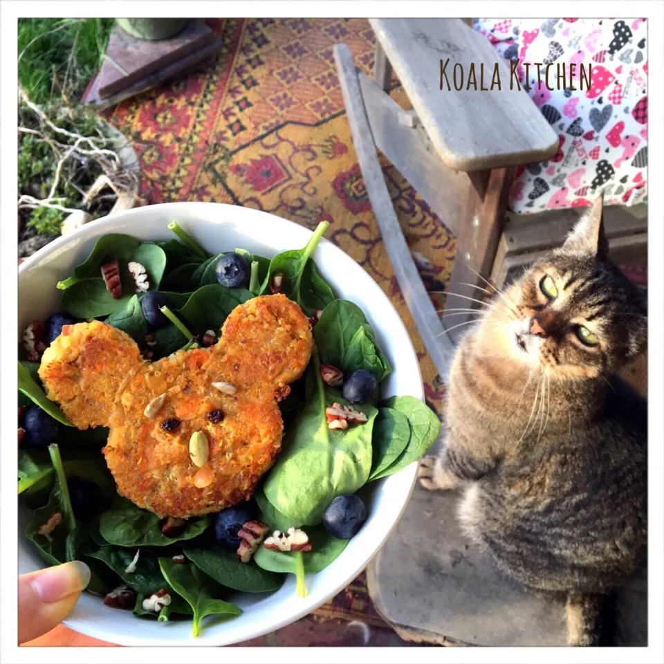 Curried Quinoa cake over spinach salad|Koalaさん