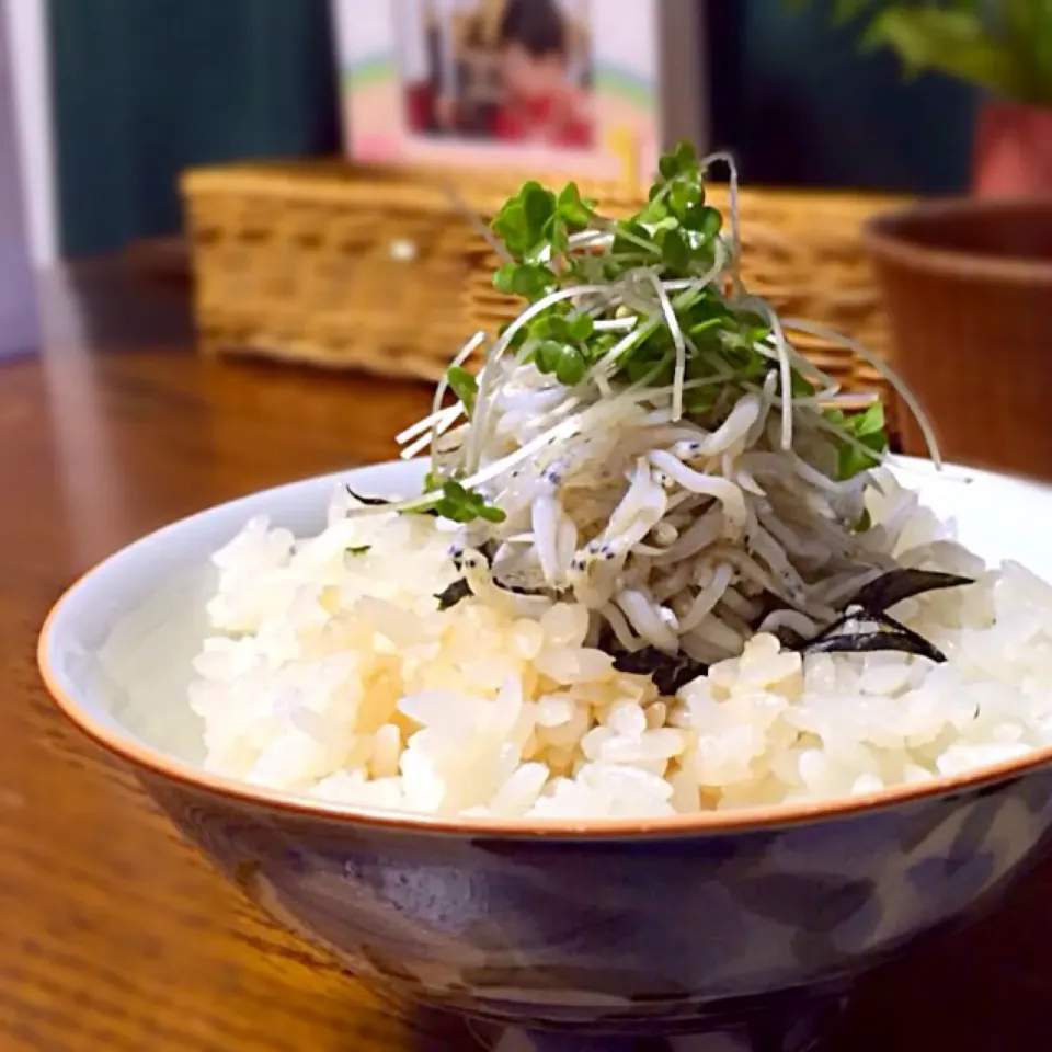 シラス丼|しまぽんさん