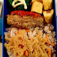 Snapdishの料理写真:明日の夫のお弁当♪手捏ねハンバーグと蓮根の金平|Asuka Sakuradaさん