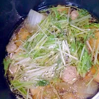 Snapdishの料理写真:水菜と白菜具だくさん煮|Yumikoさん