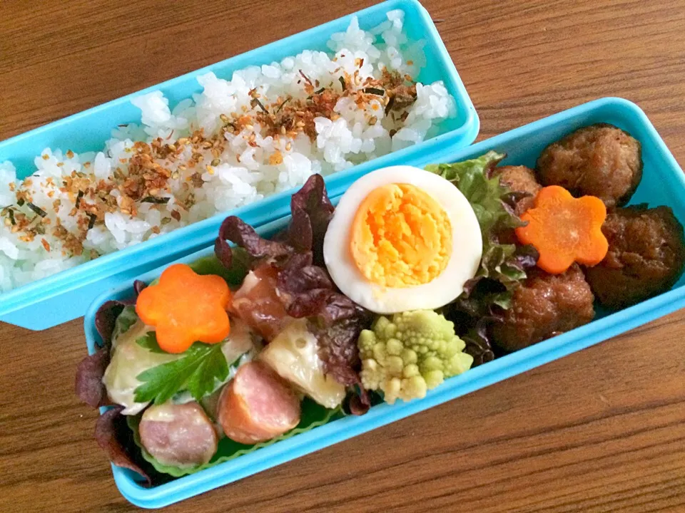 3/8 お弁当🍱|カタツムリさん