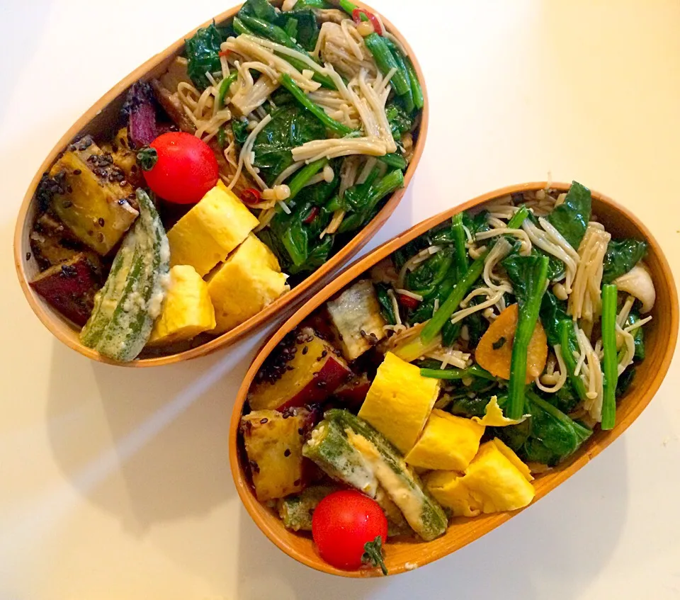 今日のお弁当！
豚肉とほうれん草とえのきの炒め物、
さつまいもの甘がらめ
オクラの柚子胡椒マヨ和え 
卵焼きヽ(*＾ω＾*)ﾉ|mamigoさん