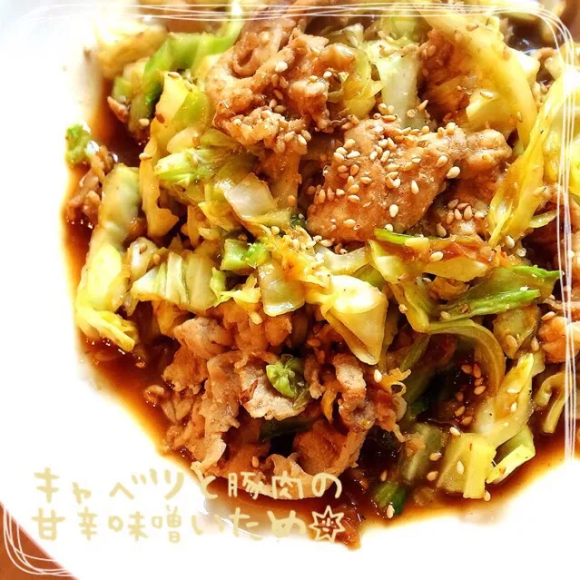 Snapdishの料理写真:キャベツと豚肉の甘辛味噌炒め|MAPITEEさん