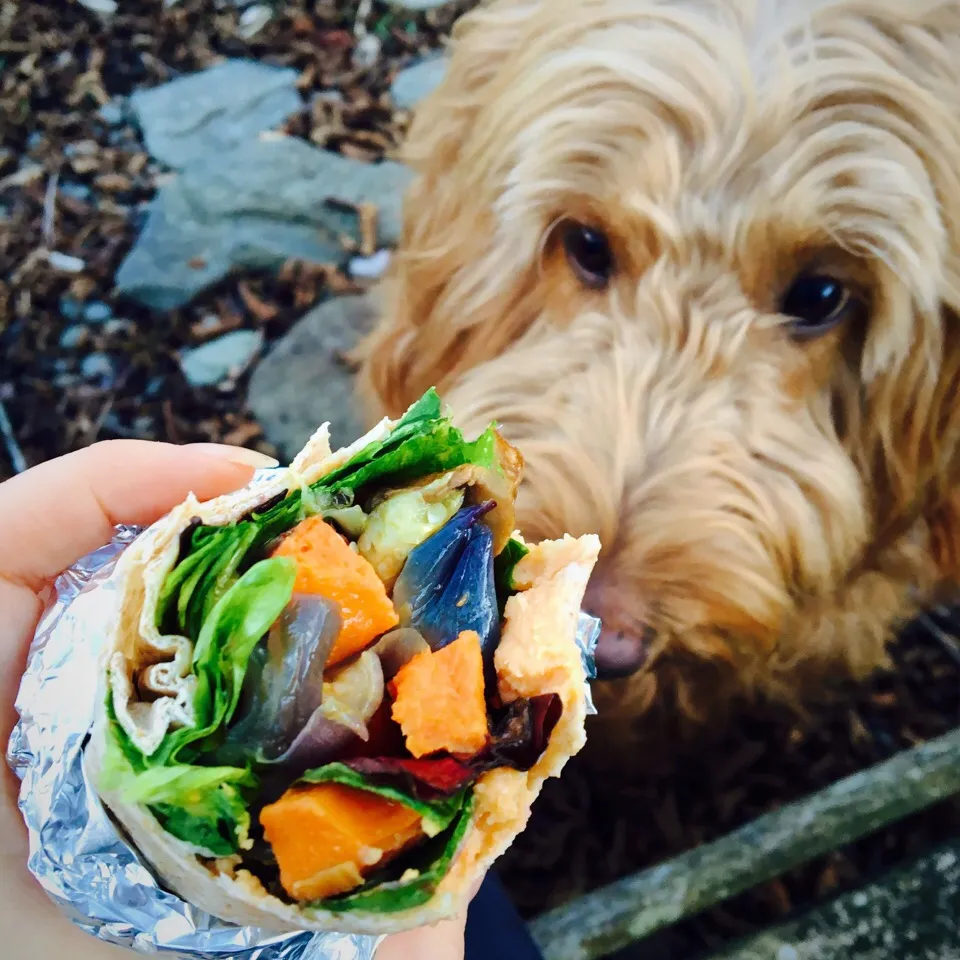 Snapdishの料理写真:Roasted veg and hummus wrap|Koalaさん