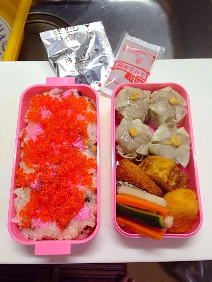 Snapdishの料理写真:シュウマイ弁当☆|つばりん亭さん