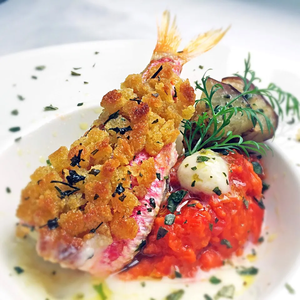 Crusted Red mullet & Pappa al pomodoro|laura giardinaさん