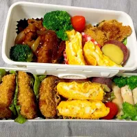 親子でお弁当|Kanegonさん