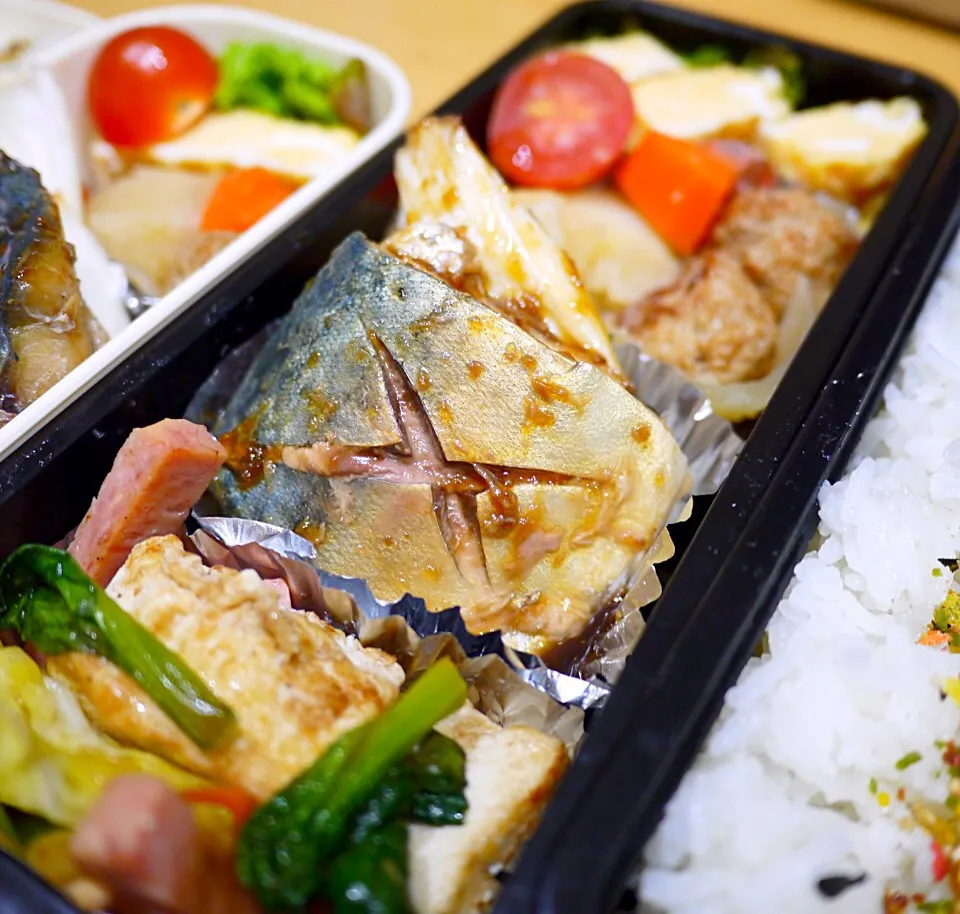 Snapdishの料理写真:今日の親父弁当！|沖縄「ピロピロ」ライフさん