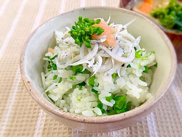 クセになる 菜の花とたらこで作る料理 レシピ25選 Snapdish スナップディッシュ