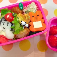 Snapdishの料理写真:年少さんがんばったね弁当♡|はなママさん