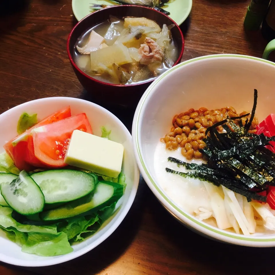 本日の夕飯|みぃさん