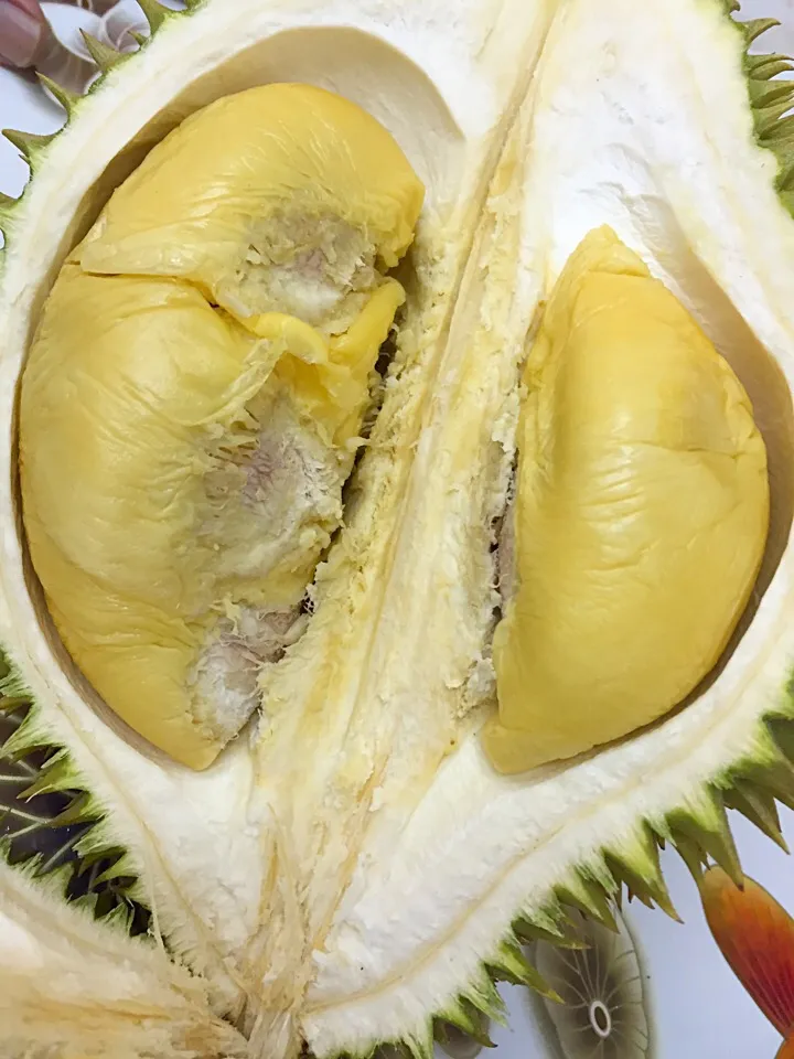 durian|hweeyhさん