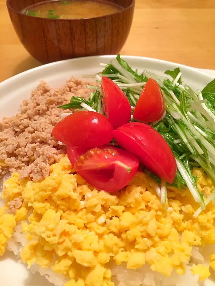 4色そぼろ丼|なかしまごはんさん