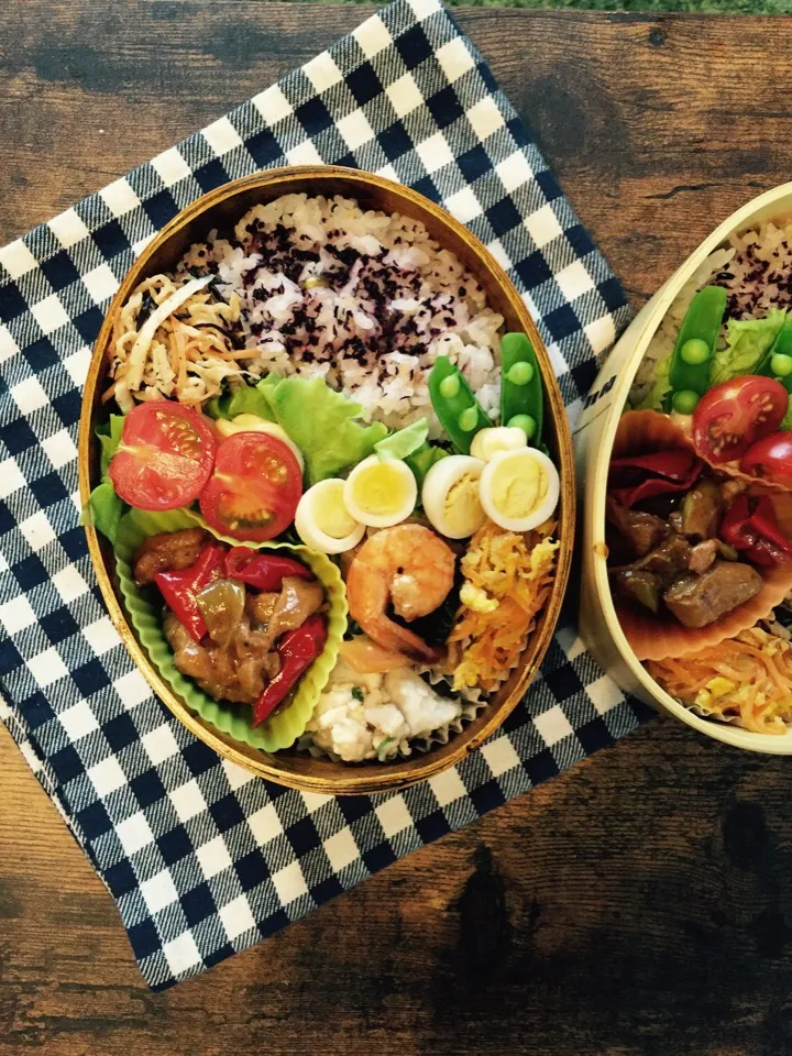 Snapdishの料理写真:3/11八宝菜とか弁当|スピカさん