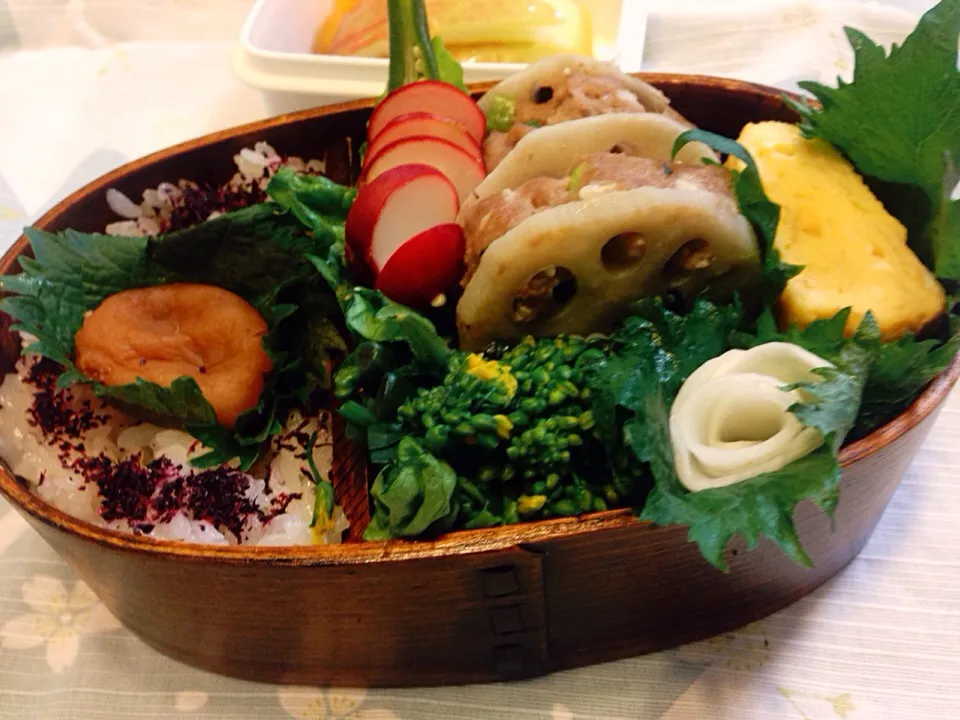 今日の私のお弁当は 蓮根バークと初めての野菜 紅菜苔(茎が紅色の菜の花みたいでした)o(^▽^)o|とんちんさん